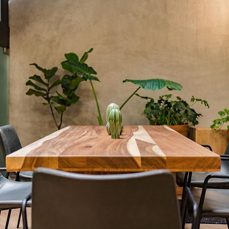 Escandon Suites By Escajal Rooms メキシコシティ エクステリア 写真